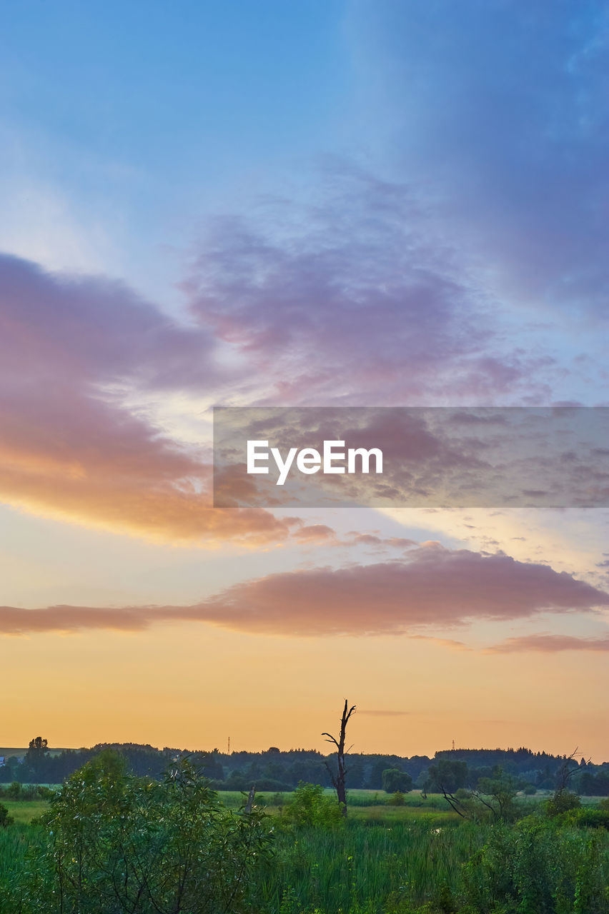 sky, horizon, environment, sunset, landscape, cloud, nature, beauty in nature, scenics - nature, sunlight, field, land, hill, plain, dawn, plant, tranquility, rural area, prairie, rural scene, tranquil scene, grass, agriculture, evening, sun, grassland, no people, dramatic sky, blue, outdoors, tree, environmental conservation, idyllic, orange color, afterglow, twilight, horizon over land, non-urban scene, silhouette, travel, copy space, meadow, social issues, cloudscape, summer, travel destinations, natural environment, multi colored
