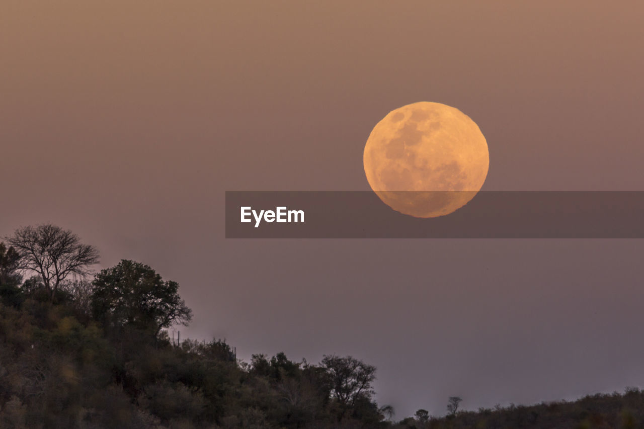 SCENIC VIEW OF MOON AT NIGHT