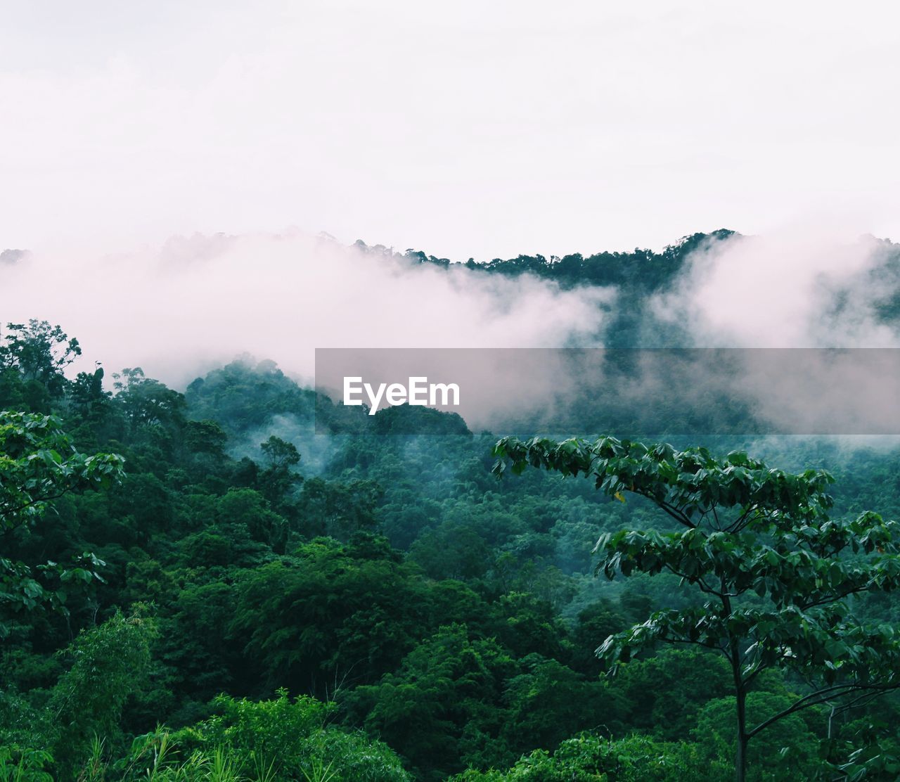 Scenic view of foggy mountain against sky