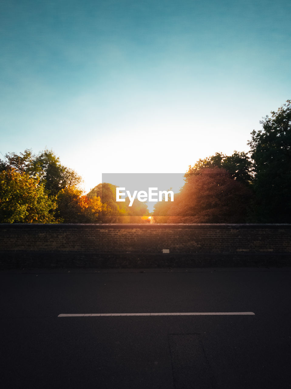 sky, tree, light, sunlight, morning, plant, nature, road, no people, dusk, horizon, transportation, sun, sunrise, tranquility, beauty in nature, cloud, darkness, outdoors, reflection, tranquil scene, scenics - nature, silhouette, orange color, landscape, environment, lens flare