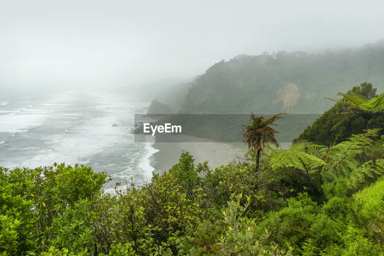 Stormy coastal scenery at cape foulwind in new zealand