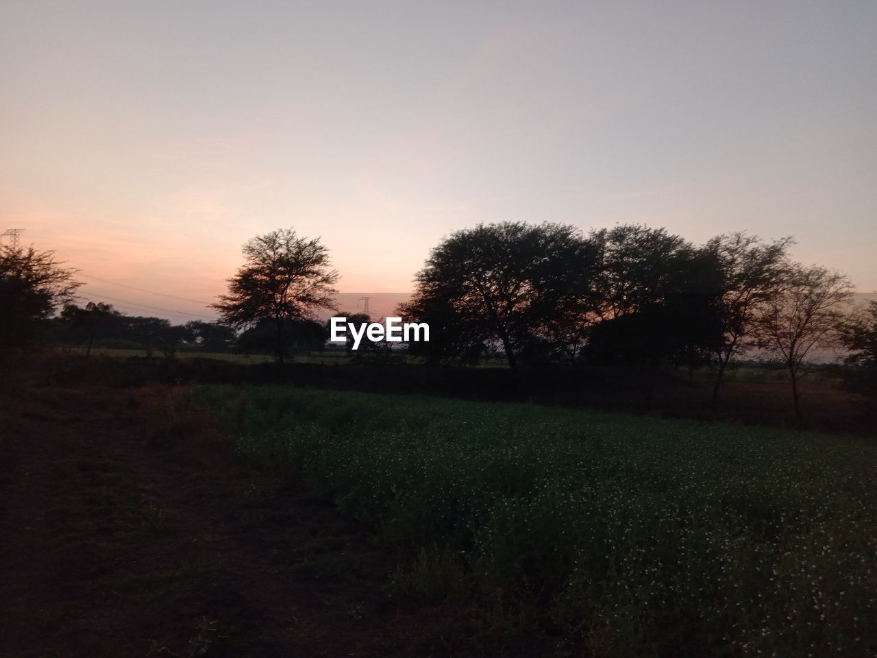 SCENIC VIEW OF FIELD AGAINST SKY DURING SUNSET