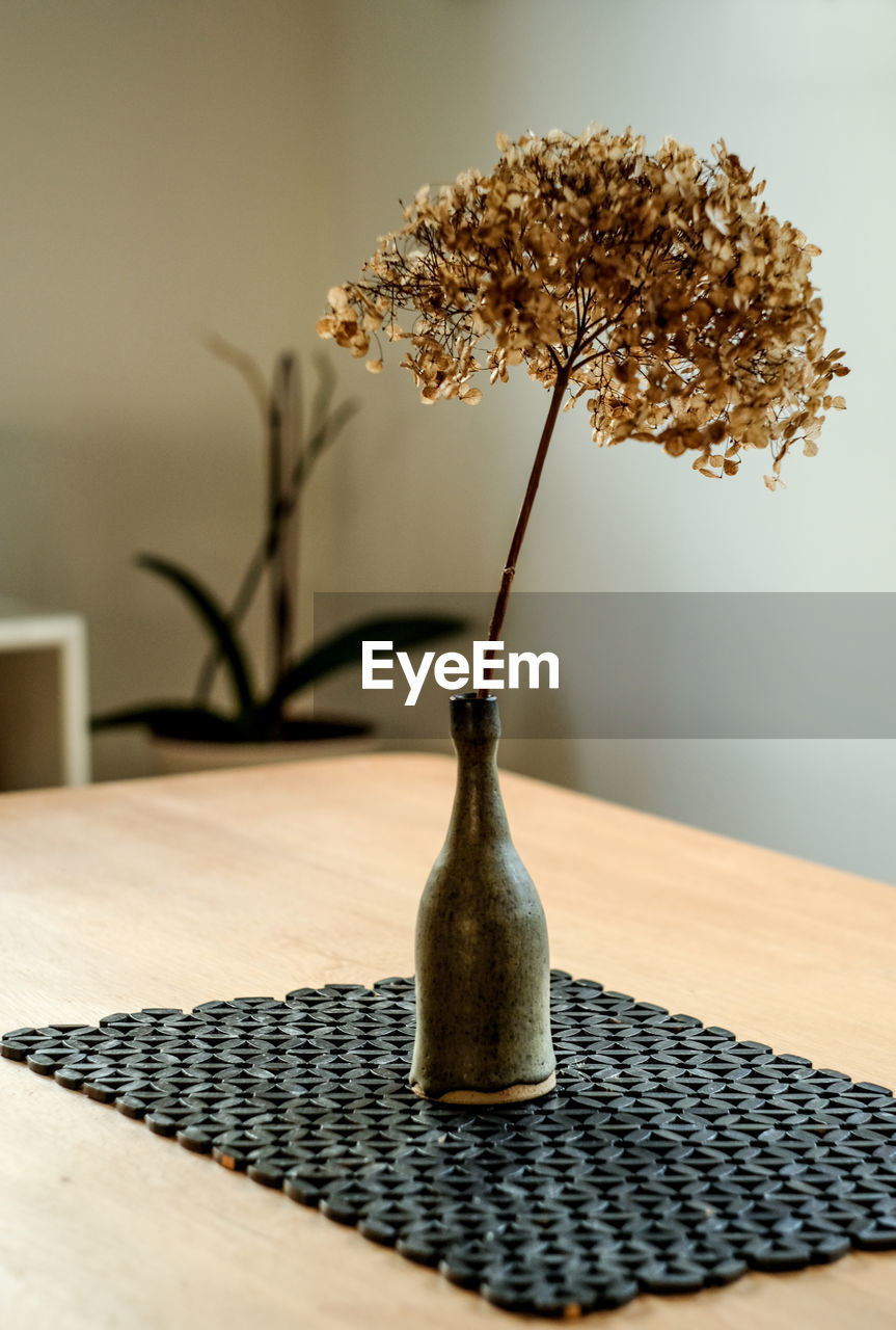 plant, indoors, table, no people, vase, home interior, nature, wood, furniture, flower, art, lighting, simplicity, tree, still life, freshness, flowering plant, food and drink, domestic room