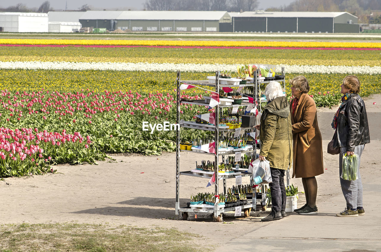 REAR VIEW OF PEOPLE WALKING ON STREET AGAINST PLANTS