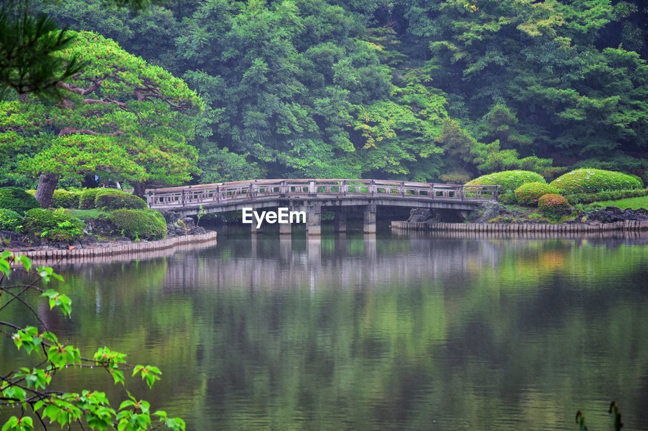 BRIDGE OVER RIVER AMIDST TREES