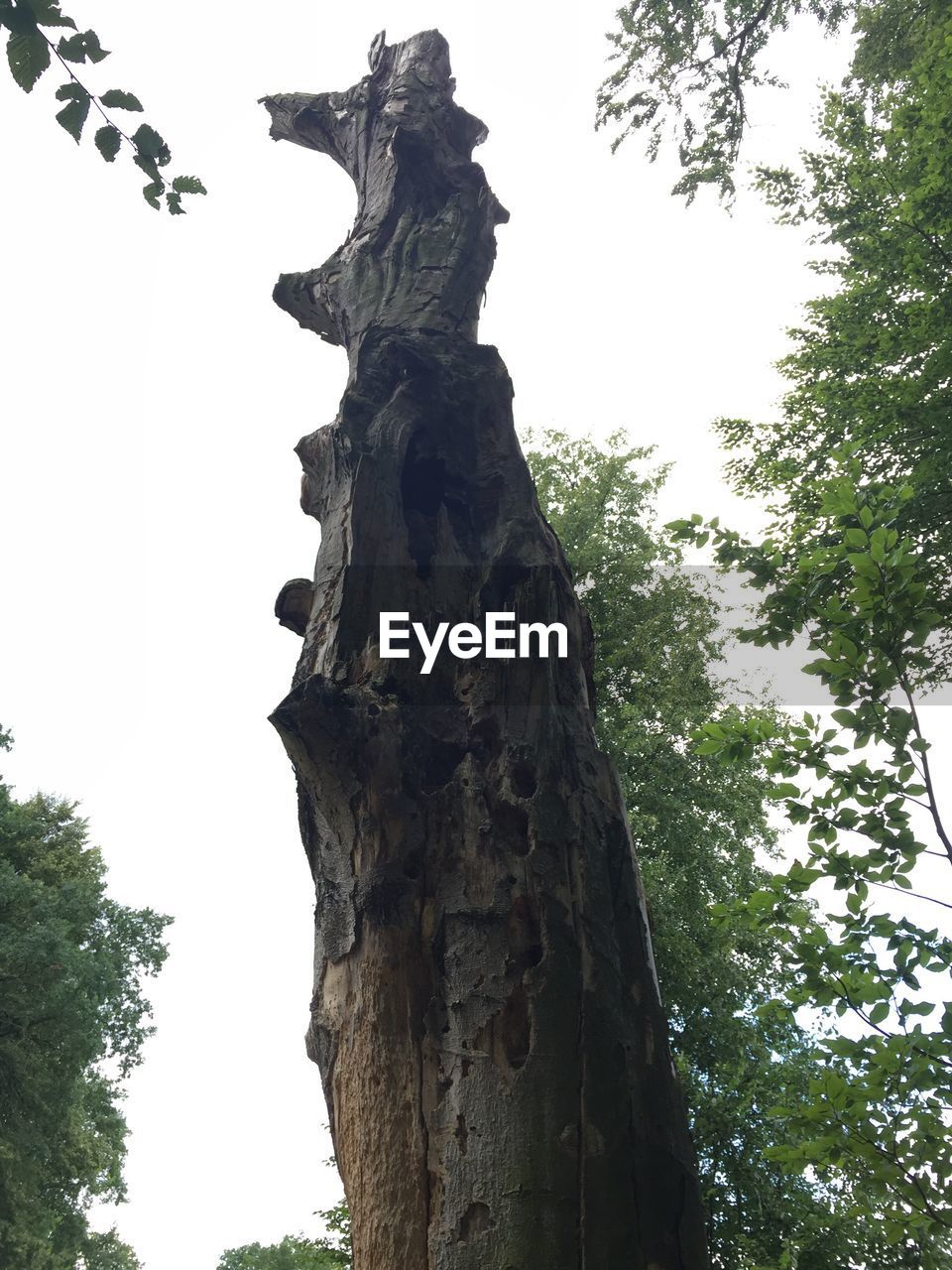 LOW ANGLE VIEW OF SCULPTURE AGAINST TREES