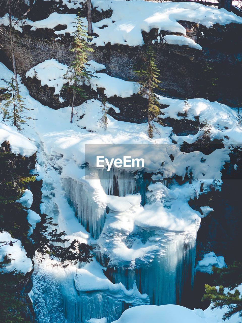 Frozen water on a rock face with a few evergreen trees