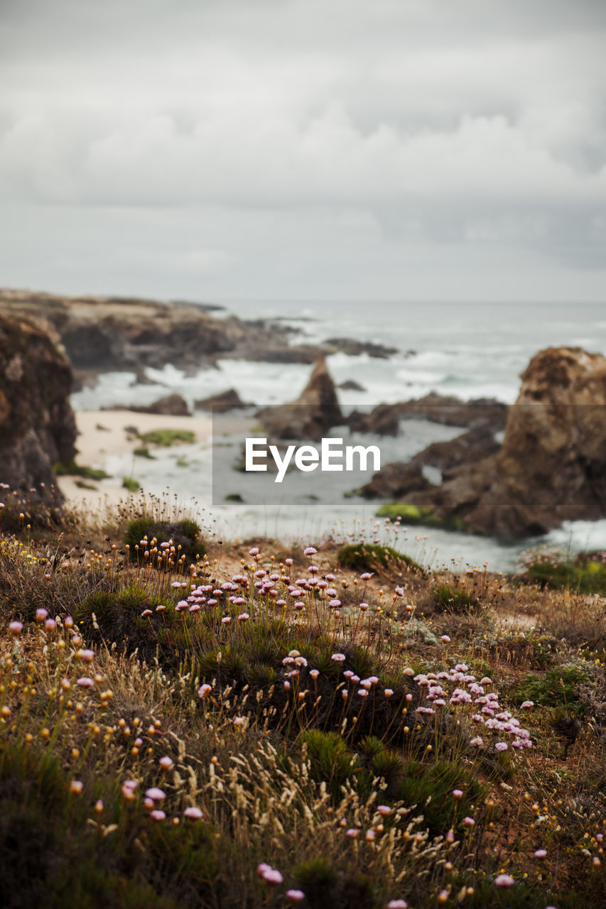 Scenic view of sea and rocks against sky