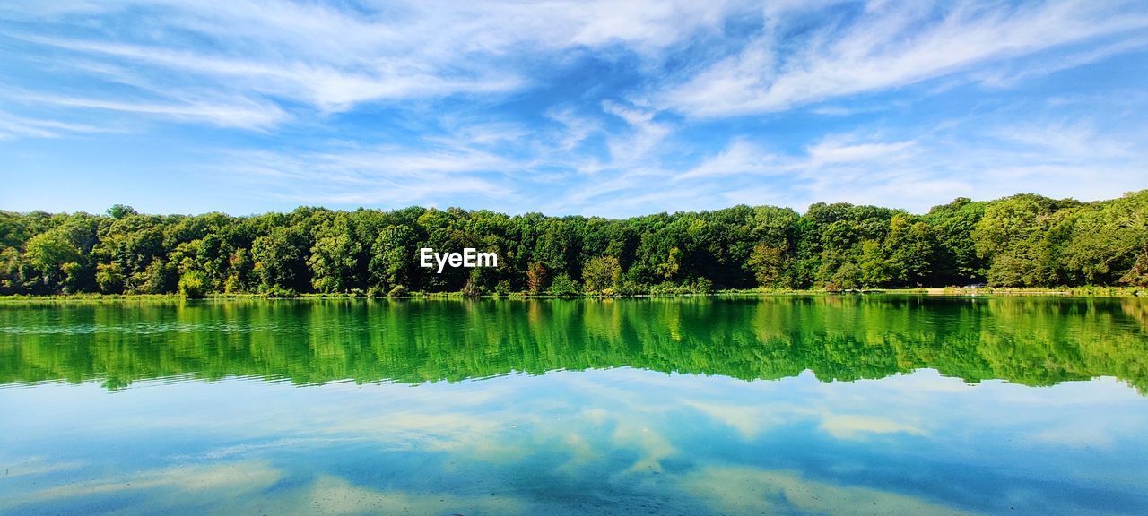 TREES BY LAKE AGAINST SKY