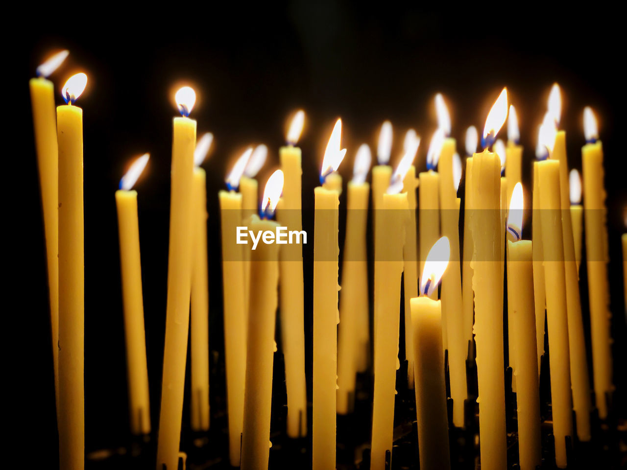 Close-up of lit candles in temple. side view isolated yellow candle sticks on black background 