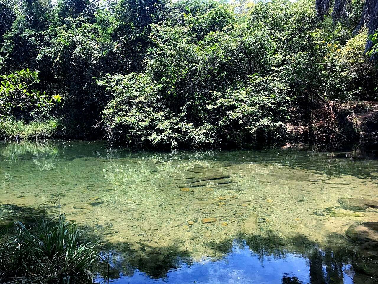 SCENIC VIEW OF LAKE