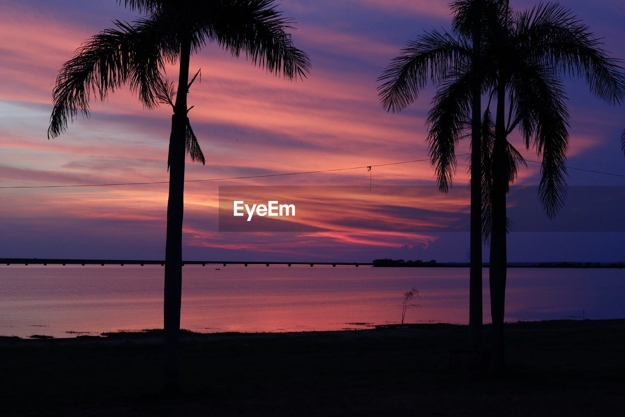 Silhouette palm trees on beach against sky during sunset