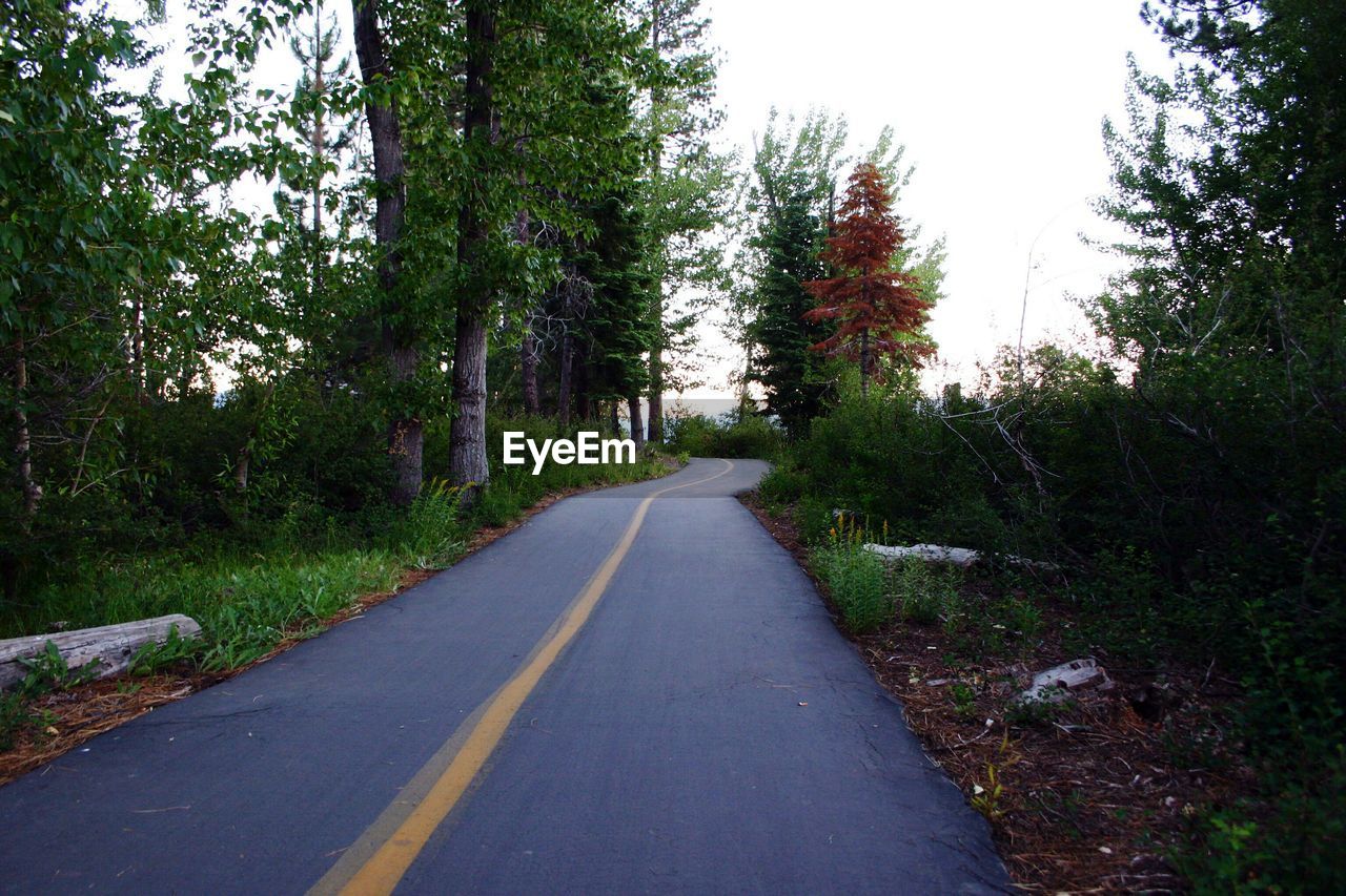 Road with trees against clear sky