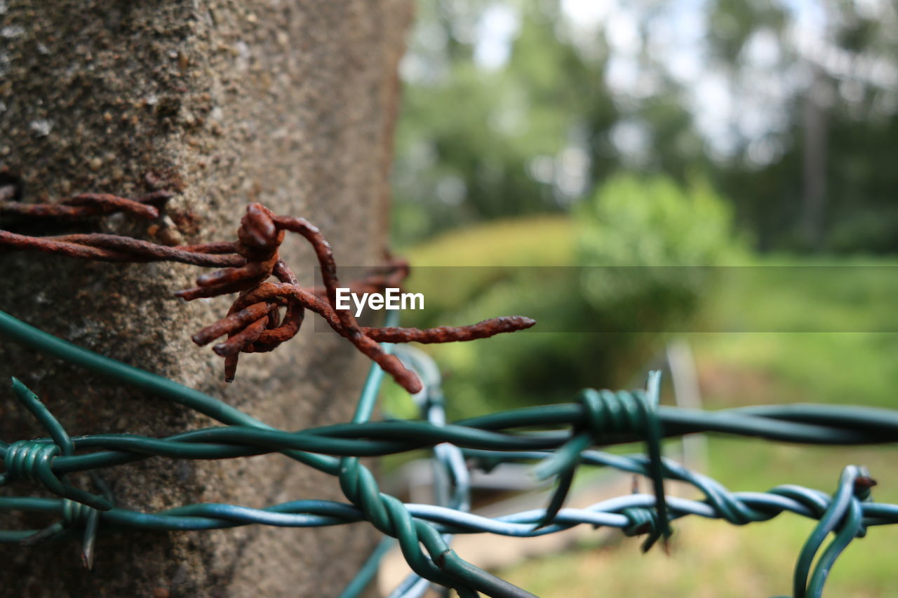 Close-up of fence