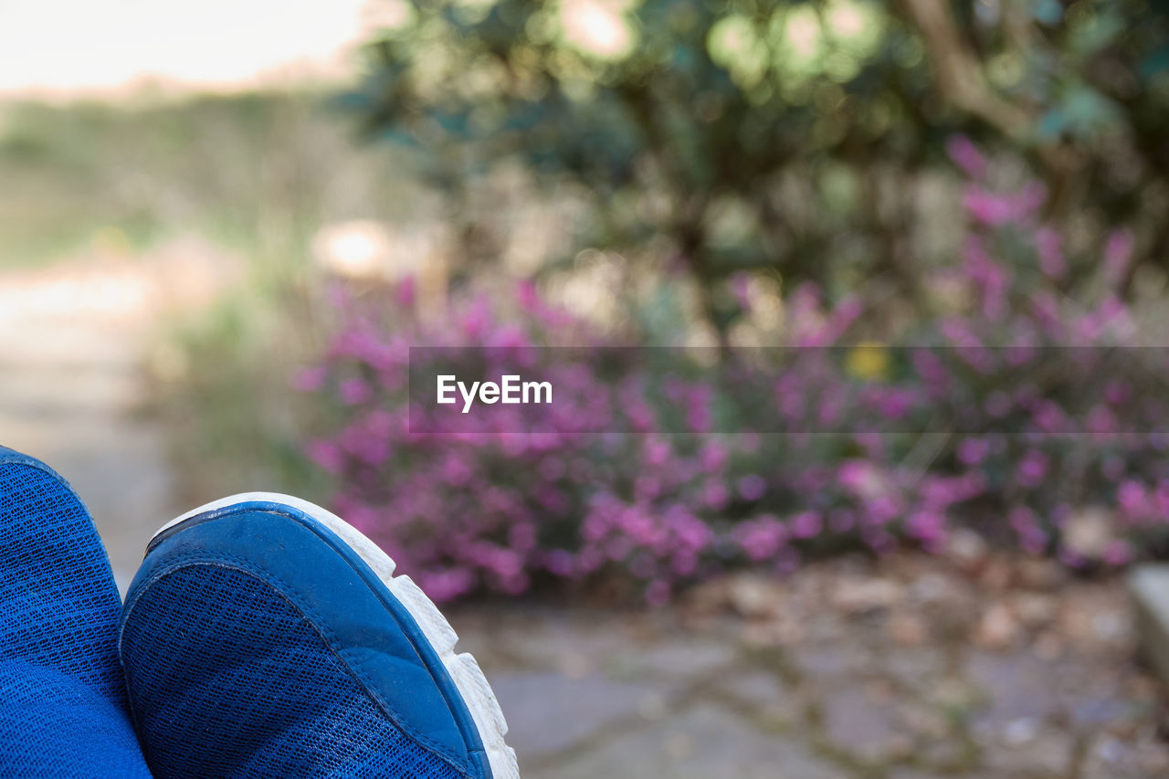 Parts of blue slippers in raised feet in front of an intentionally blurred garden, relaxation 