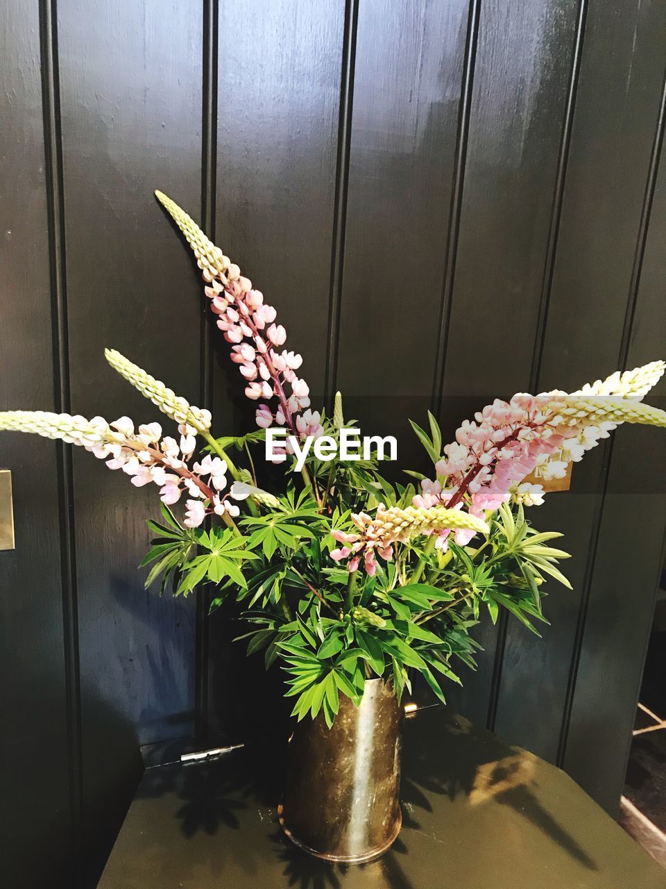 CLOSE-UP OF PURPLE FLOWER IN VASE