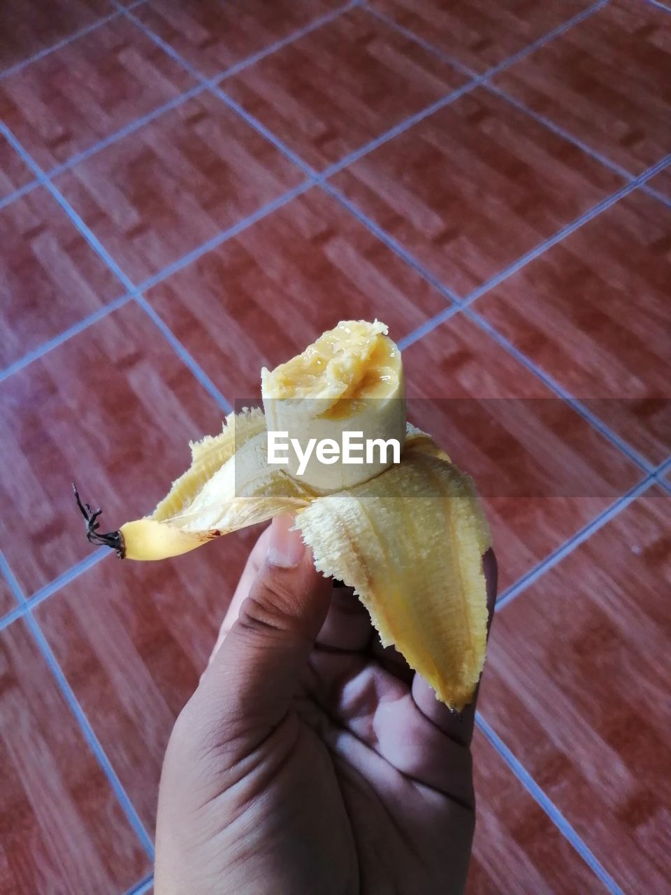 CLOSE-UP OF HAND HOLDING APPLE