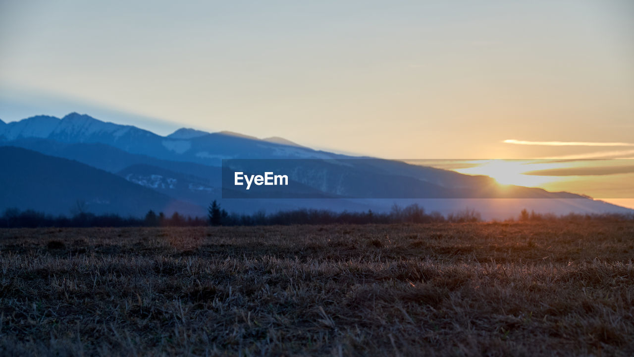 Scenic view of field against sky during sunset