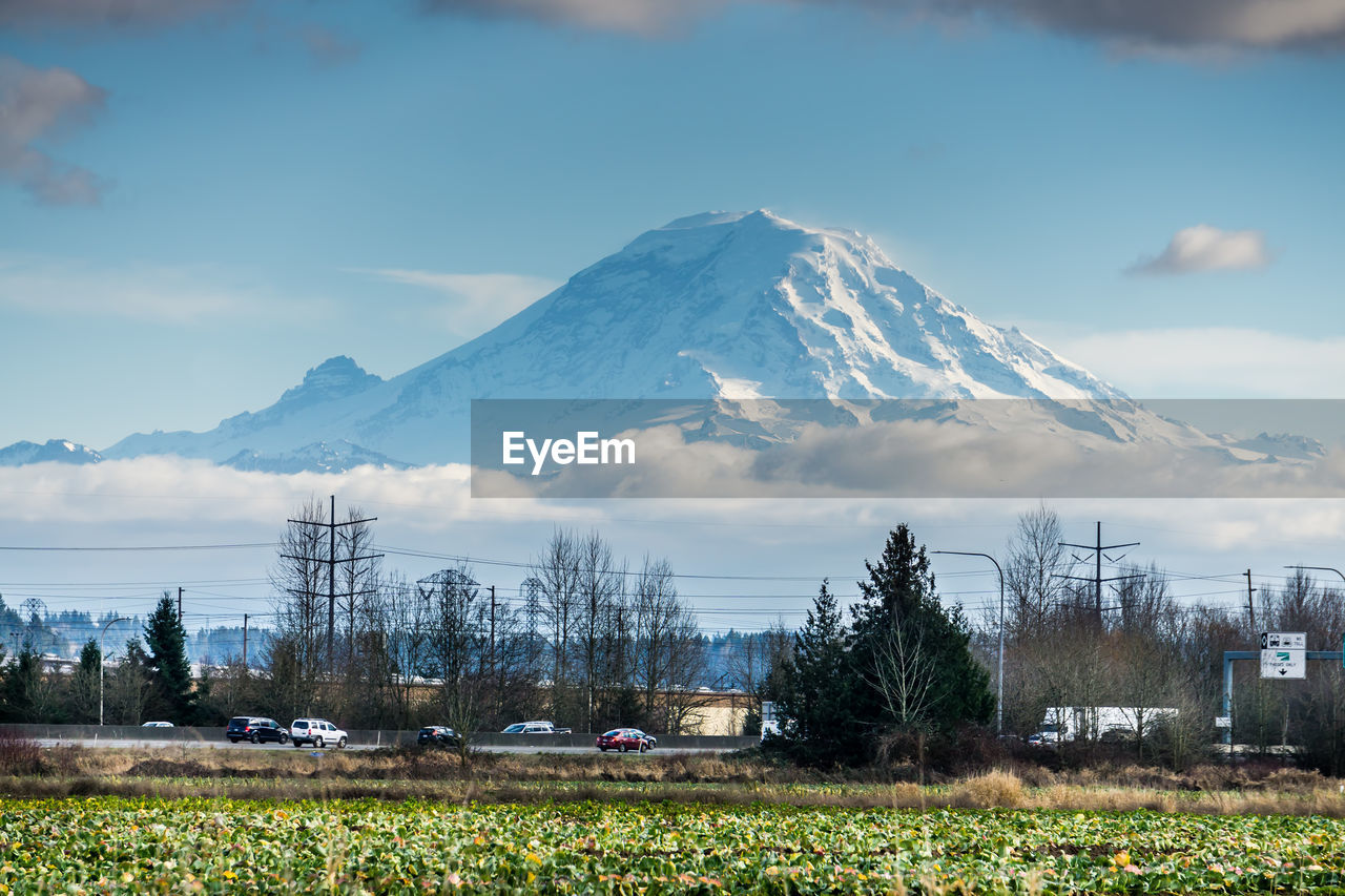 A view of a field with mount rainier in the distance in auburn, washington.