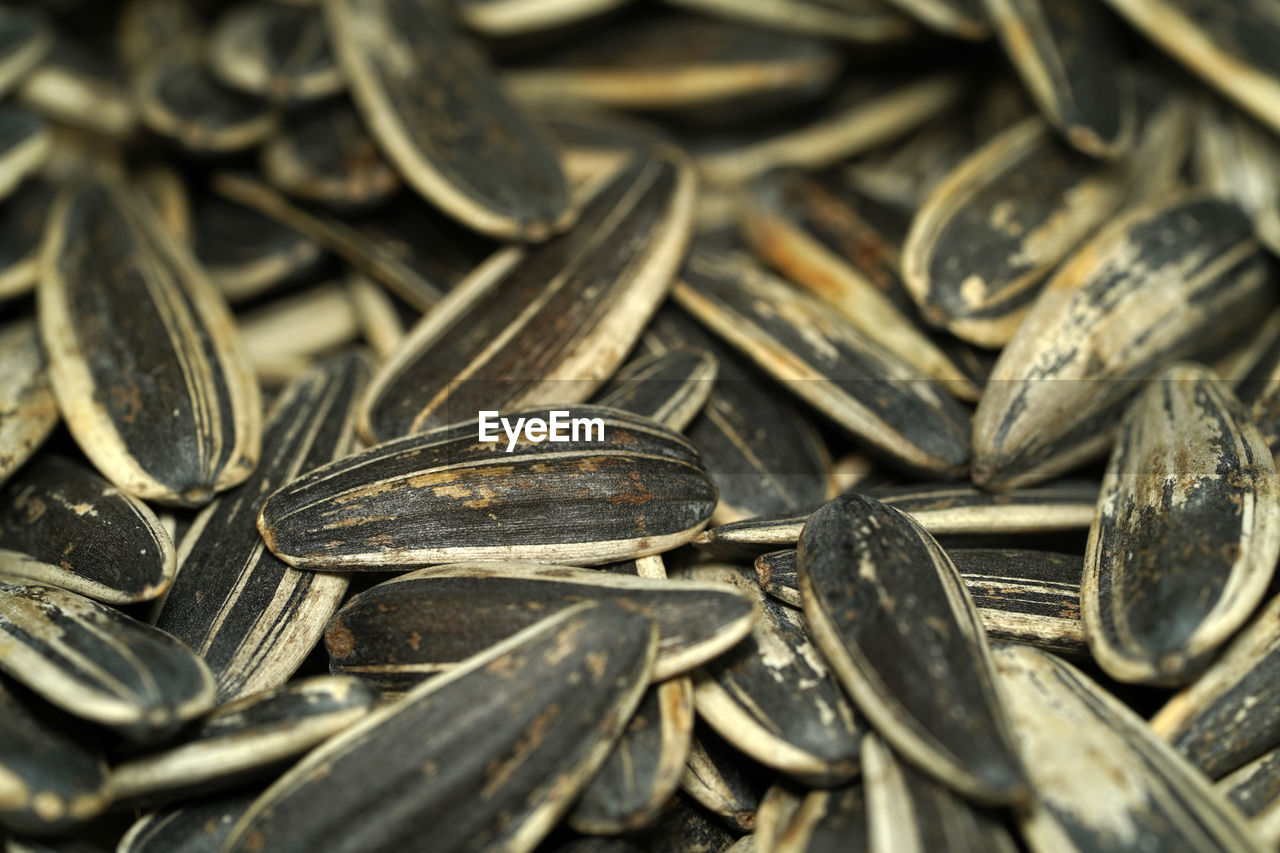 Detail shot of sunflower seeds 