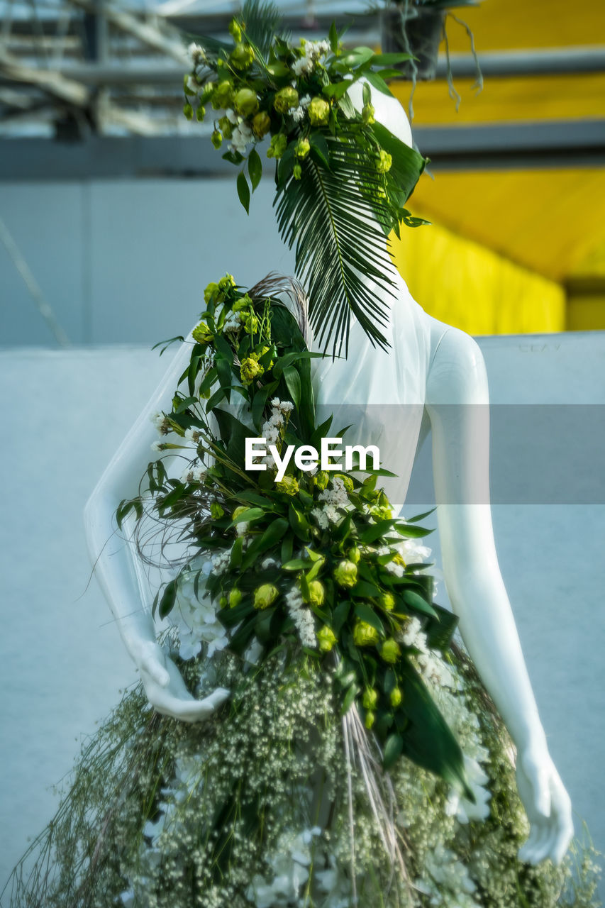 Close-up of white potted plant on table against wall