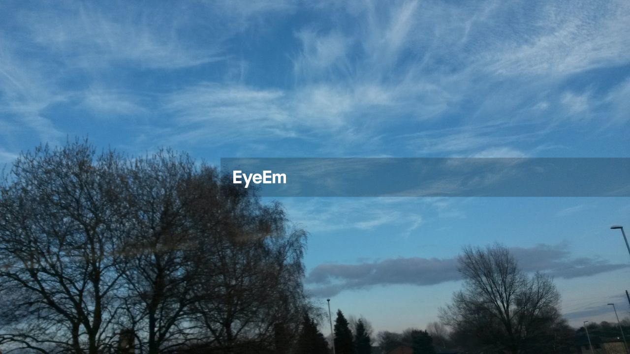 LOW ANGLE VIEW OF BARE TREES AGAINST SKY