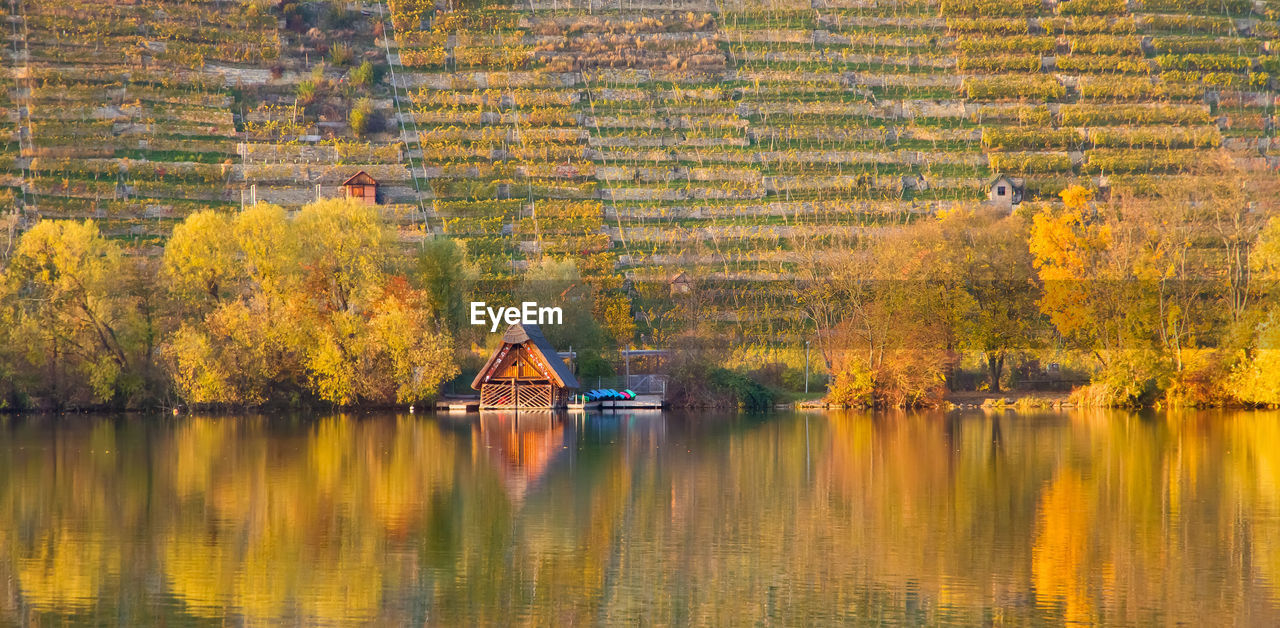 SCENIC VIEW OF LAKE AGAINST AUTUMN TREES