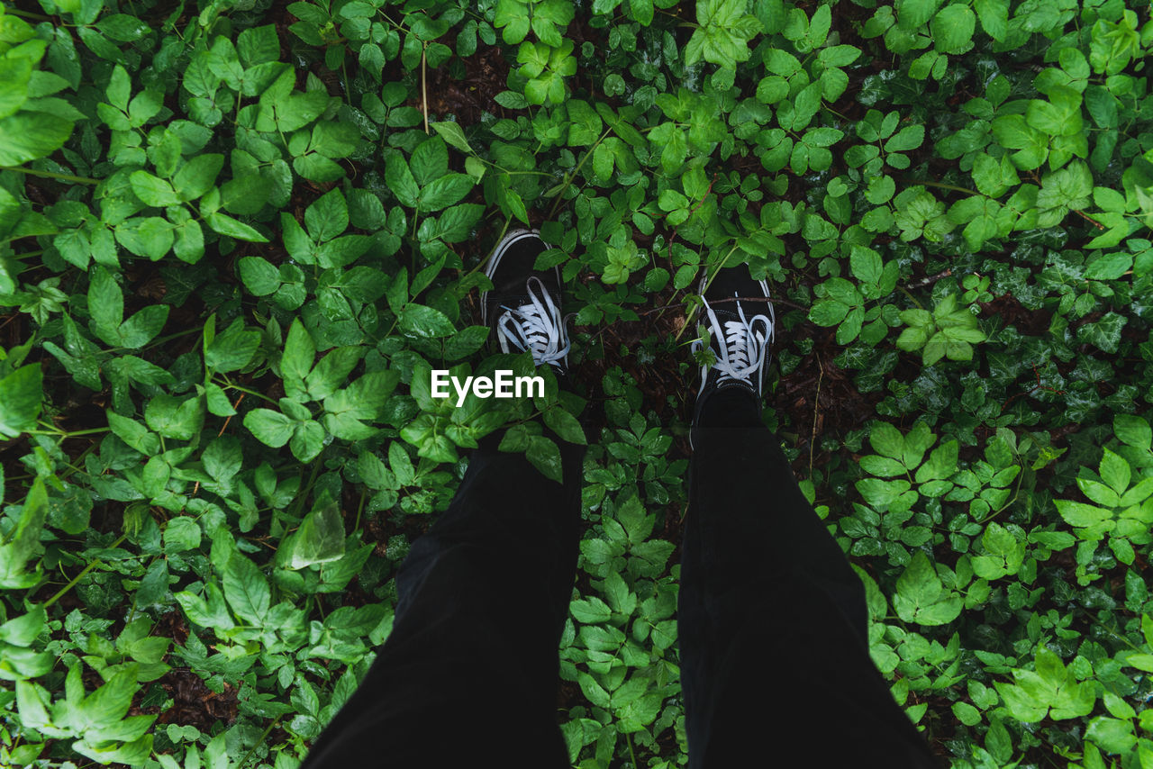 LOW SECTION OF PERSON STANDING ON PLANT