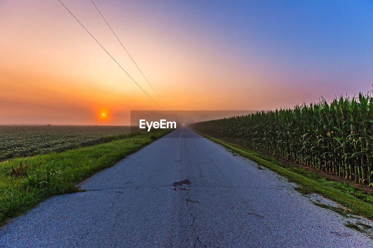 Road passing through field