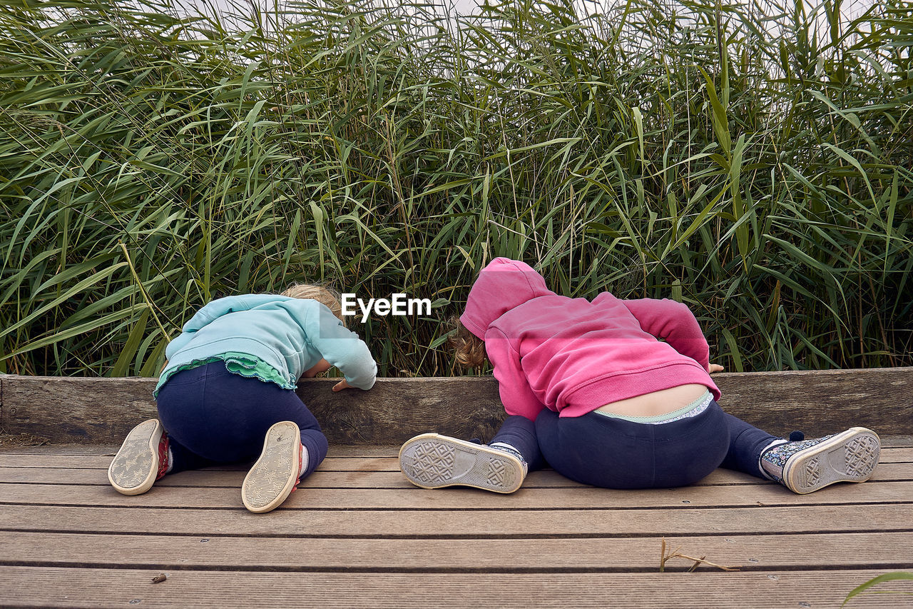 Rear view of siblings looking at plants while sitting boardwalk