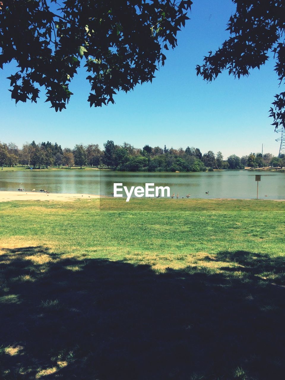 Calm countryside lake against clear blue sky