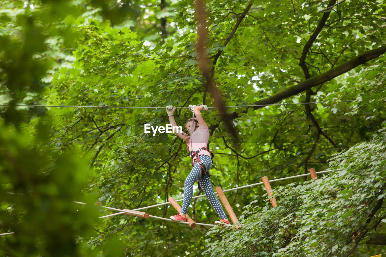 Low angle view of person hanging on tree in forest
