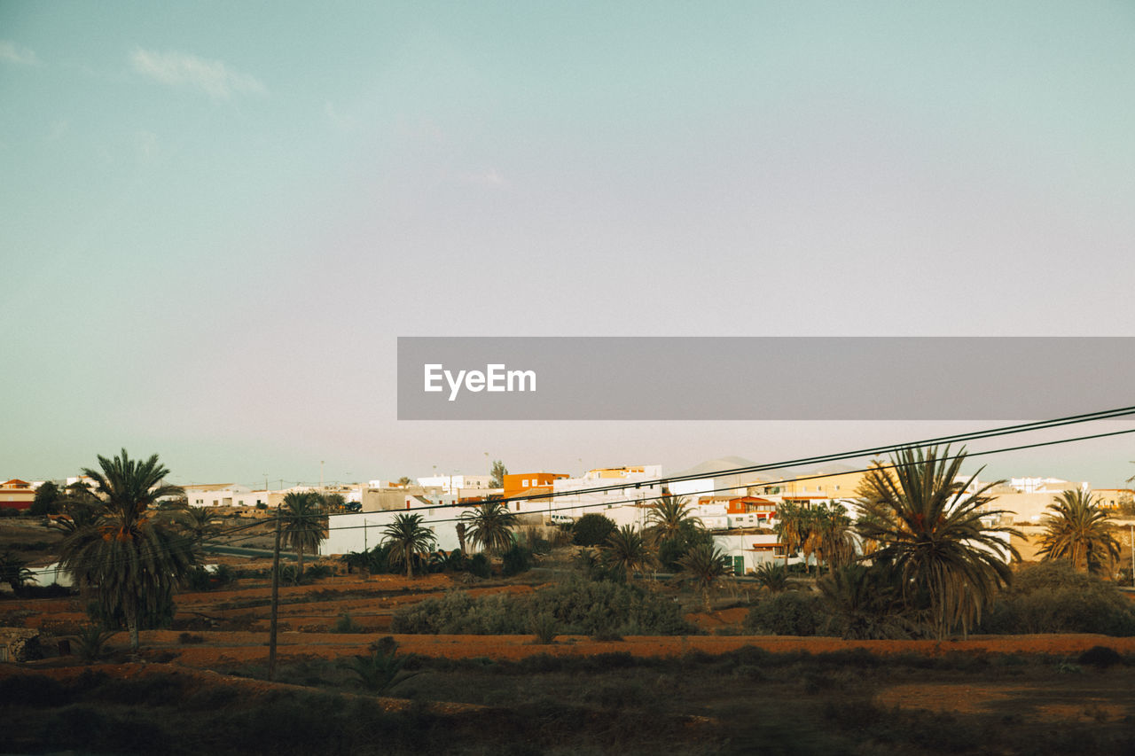 PALM TREES ON LANDSCAPE AGAINST SKY