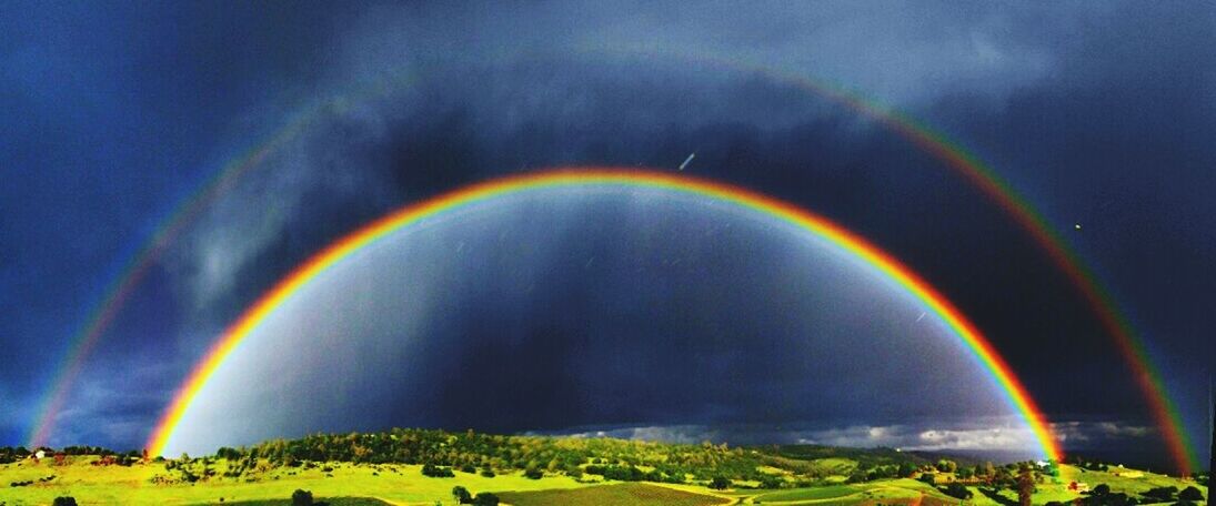 SCENIC VIEW OF RAINBOW OVER TREES