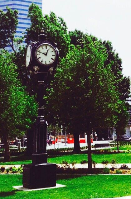 VIEW OF CLOCK TOWER