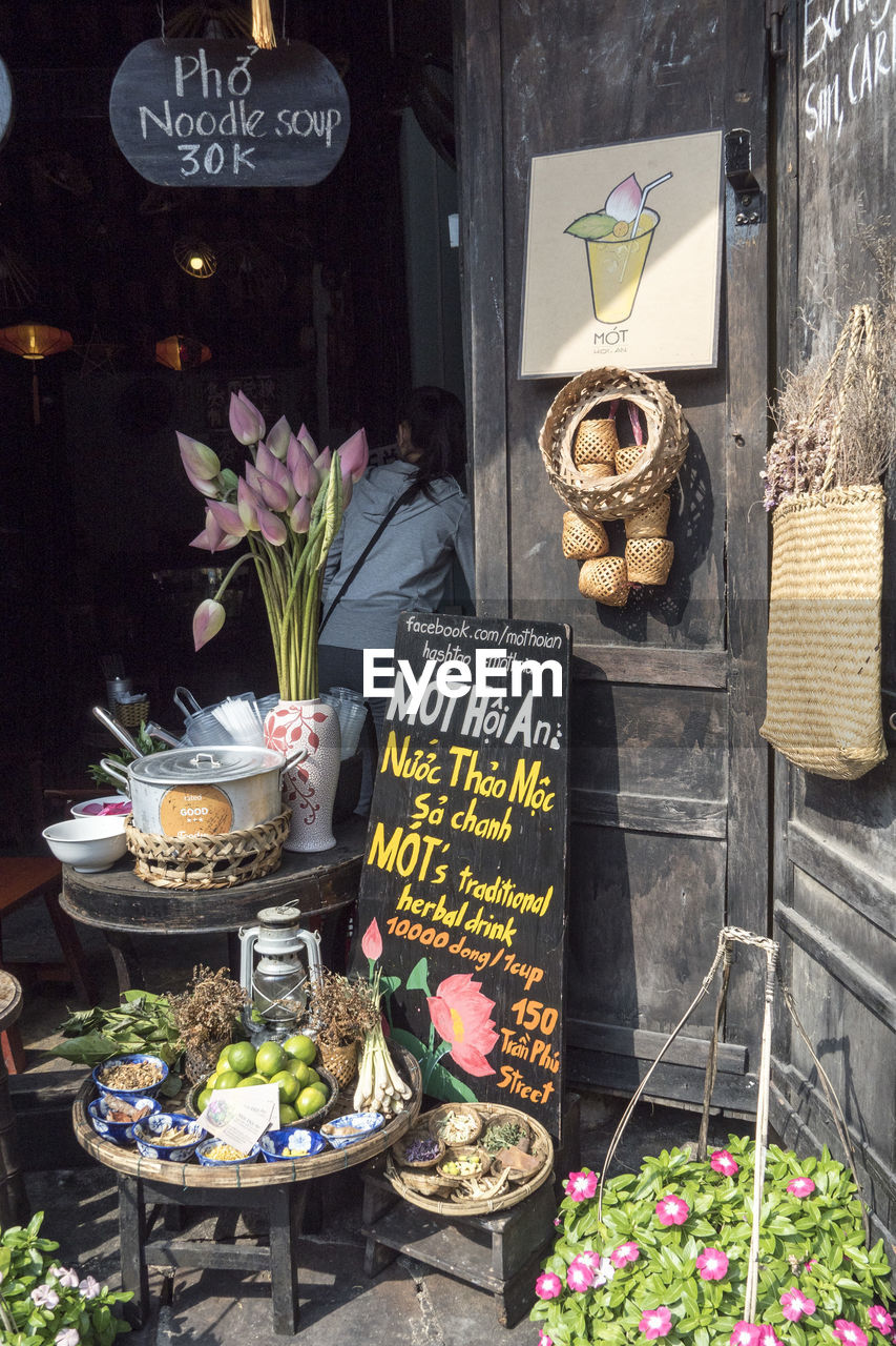 POTTED PLANTS ON STORE