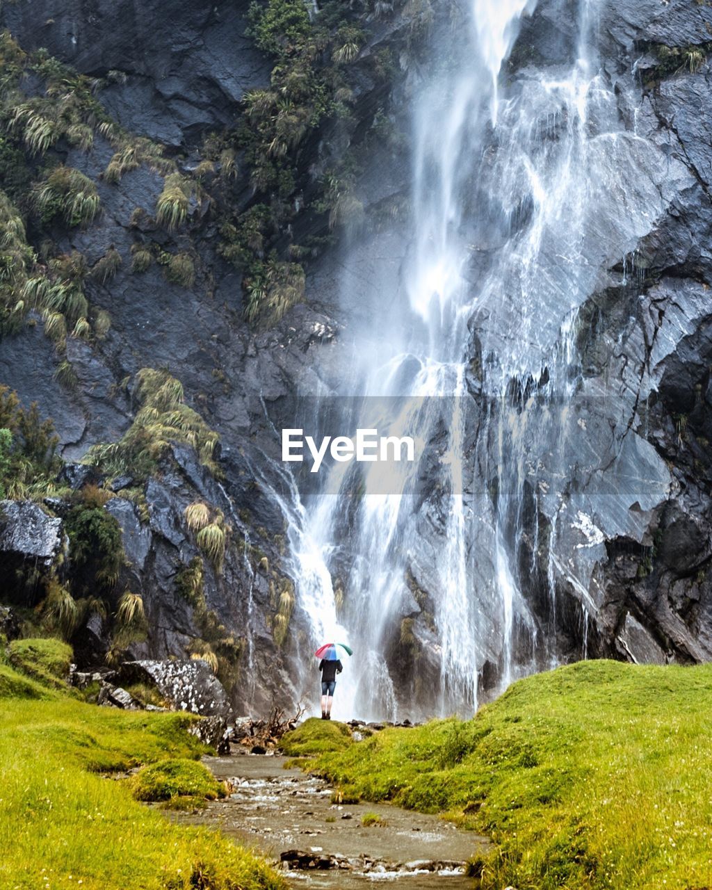 Scenic view of landscape