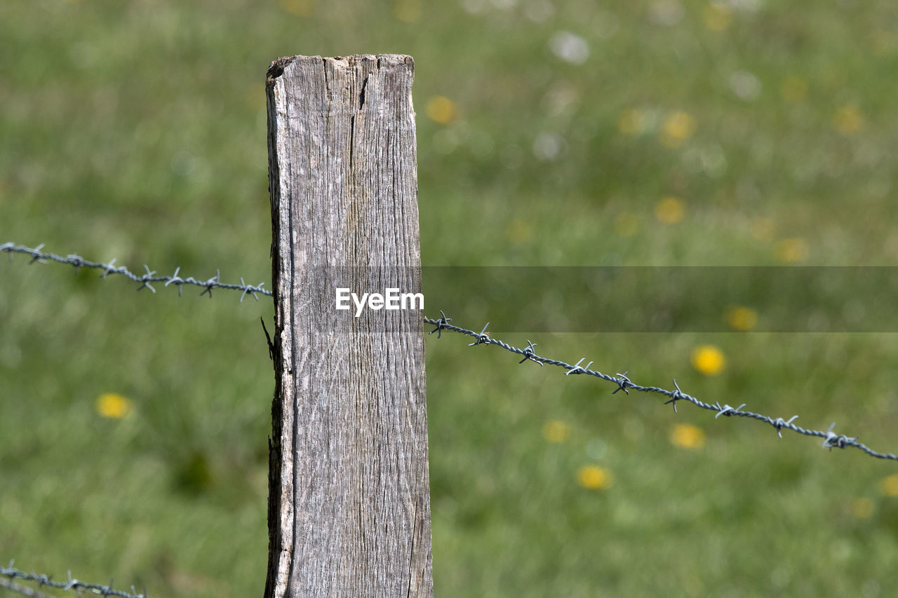 Close-up of barbed wire fence on grassy field