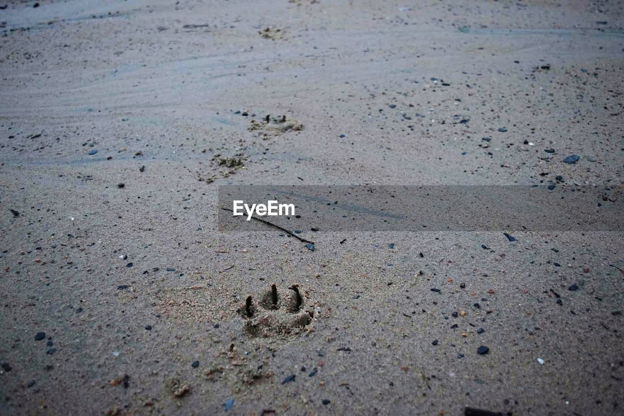 HIGH ANGLE VIEW OF FOOTPRINTS ON SANDY BEACH