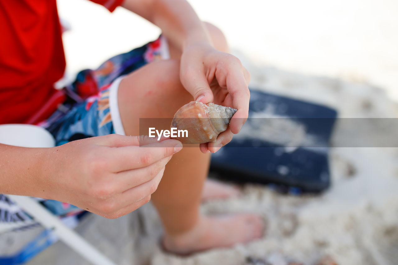 Midsection of man shell at beach