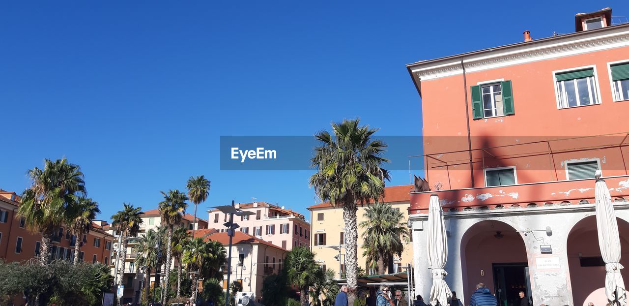 architecture, building exterior, town, built structure, neighbourhood, building, tree, city, downtown, palm tree, sky, nature, clear sky, tropical climate, vacation, plant, blue, residential district, street, residential area, sunny, travel destinations, day, landmark, house, outdoors, tourism, town square, travel, cityscape, plaza, sunlight, window, urban area, facade, estate