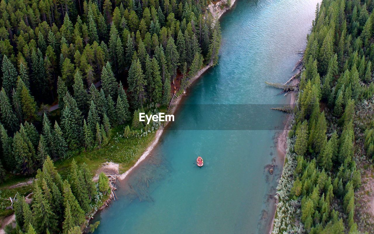 High angle view of boat on lake in forest