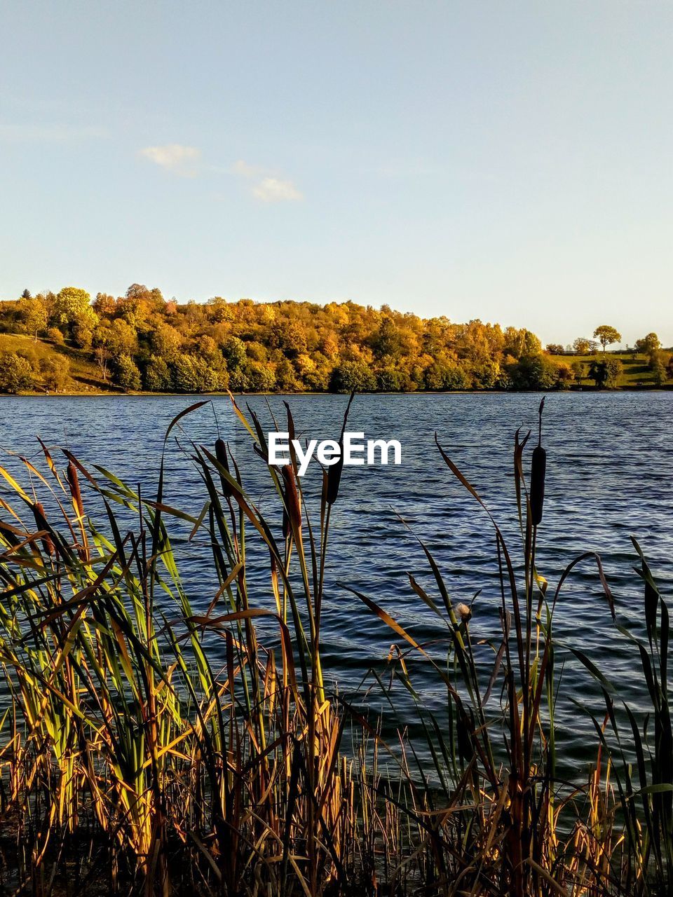 SCENIC VIEW OF LAKE AGAINST BLUE SKY