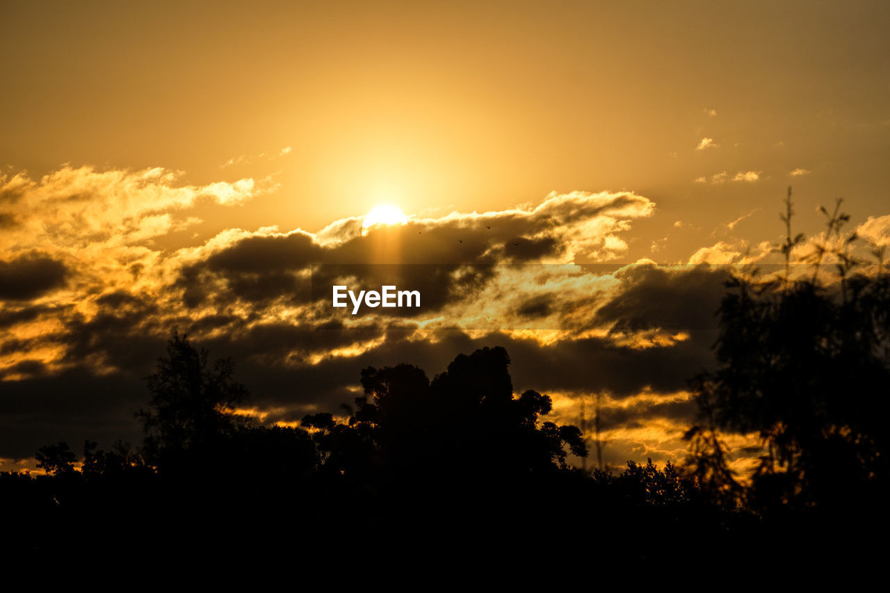 SCENIC VIEW OF DRAMATIC SKY OVER SILHOUETTE TREES