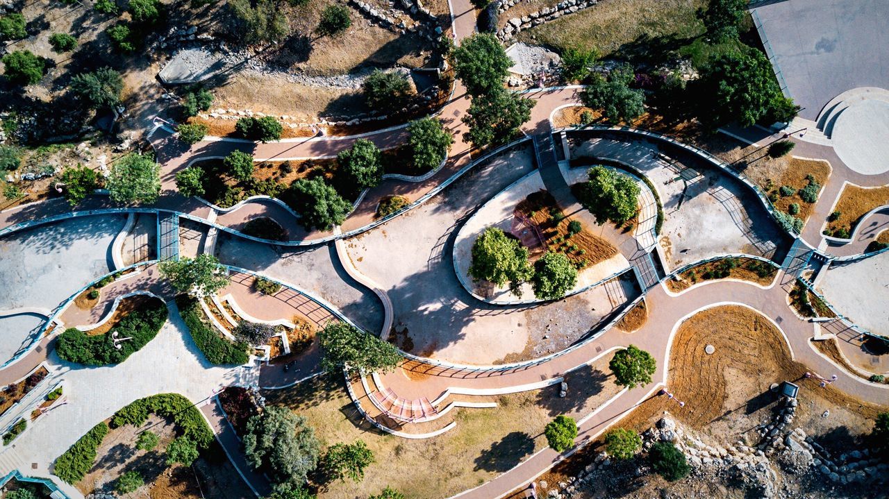 HIGH ANGLE VIEW OF TREE BY MODERN BUILDINGS