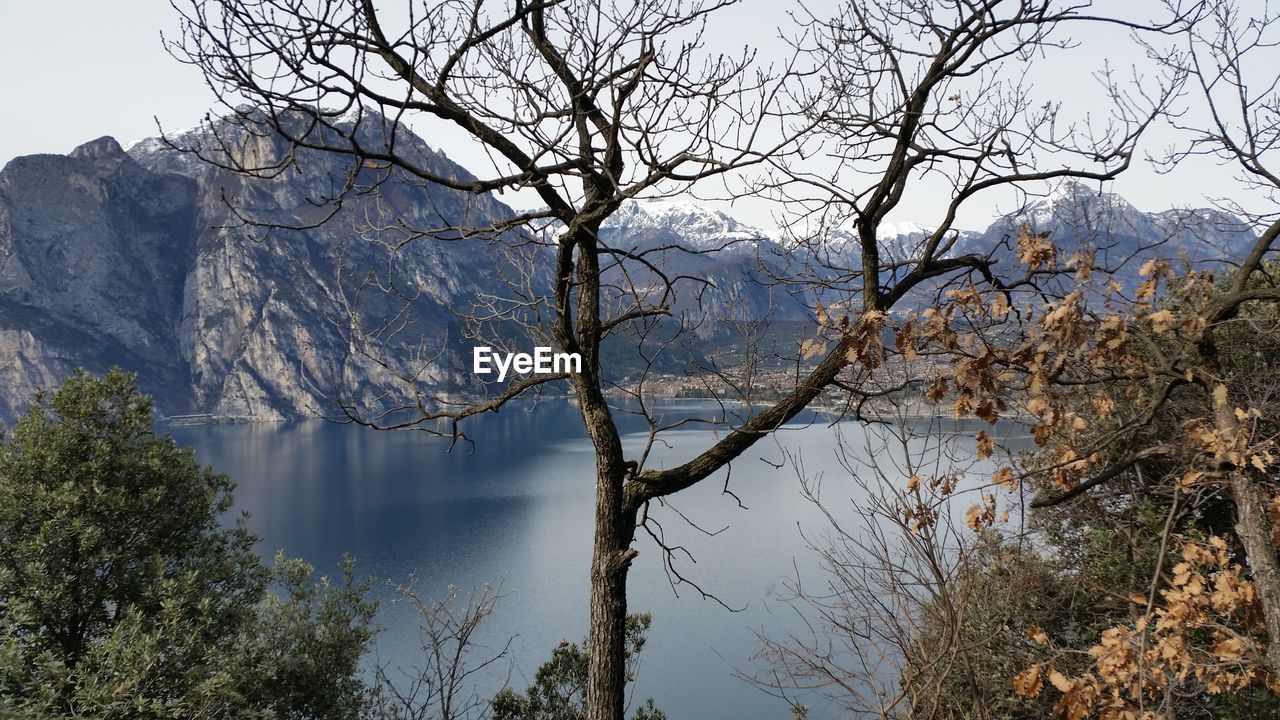 Reflection of bare trees overlooking lake and mountain scape