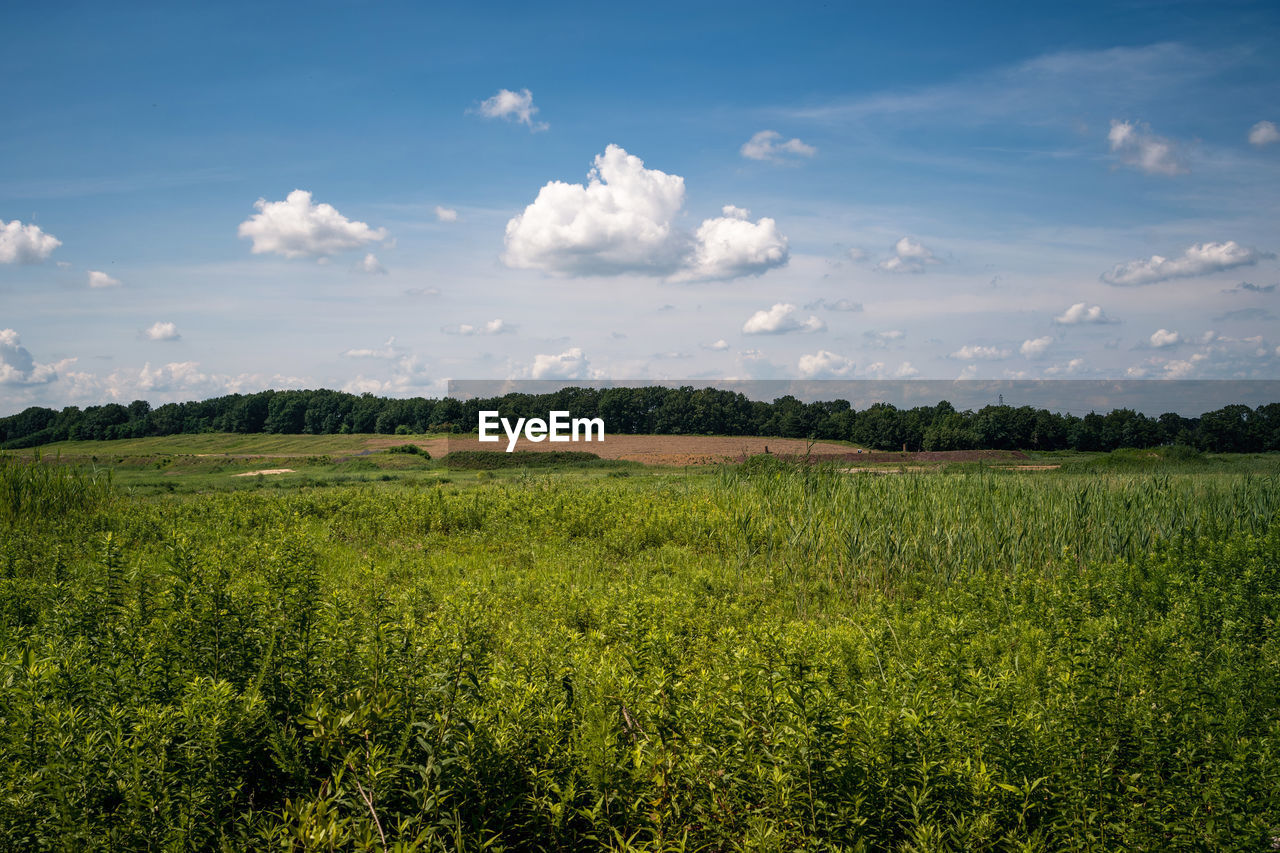 Views of the crossman clay pits and raritan river railroad in sayreville, nj