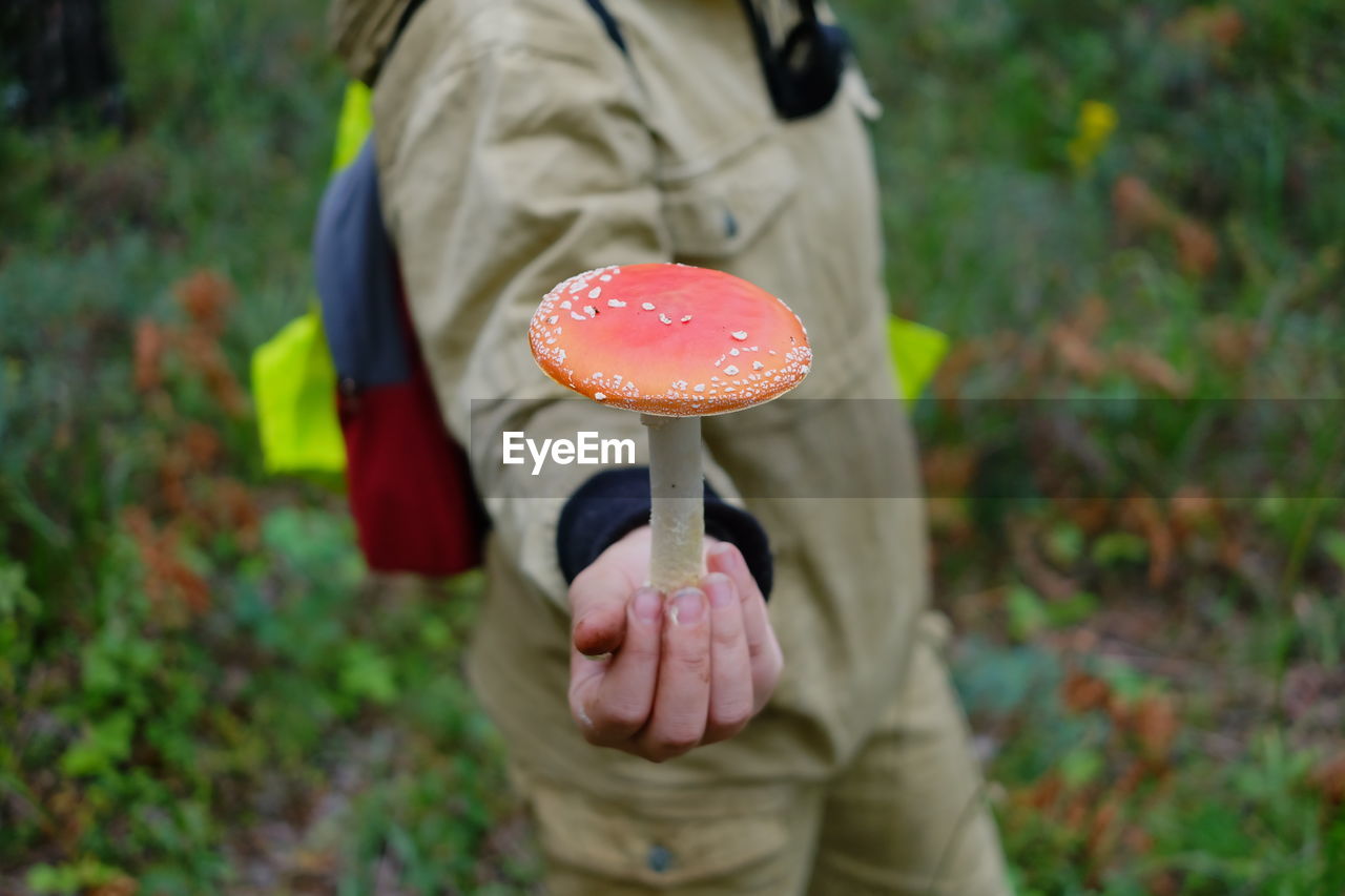 MIDSECTION OF WOMAN HOLDING MUSHROOMS