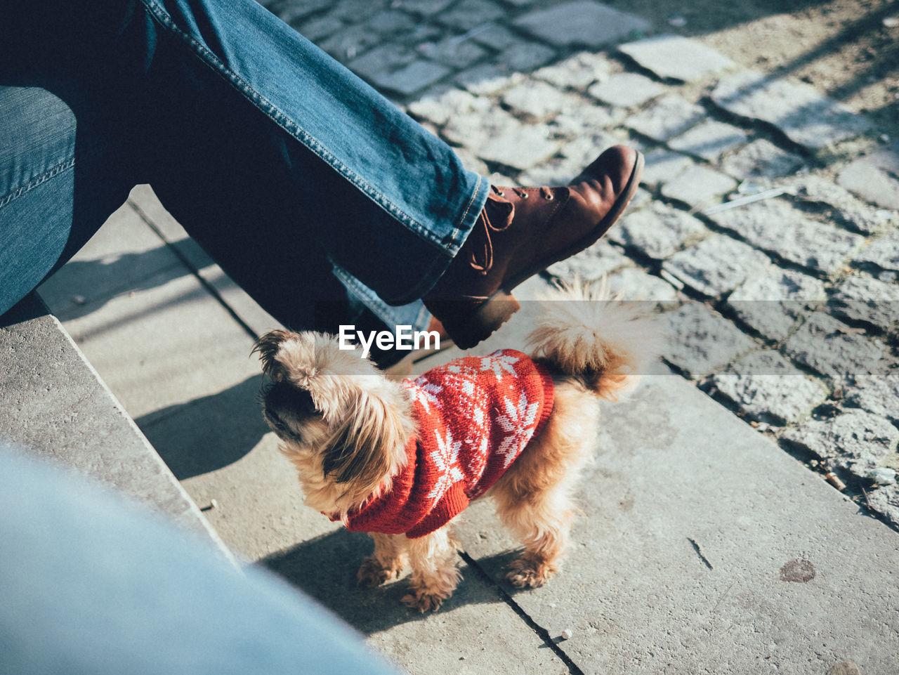 Low section of man sitting by dog outdoors