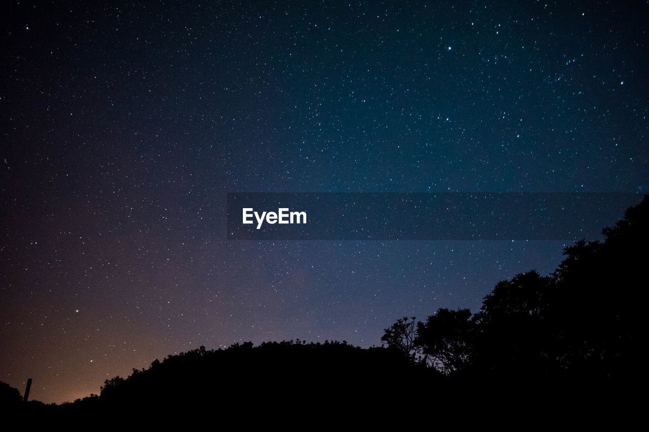 Low angle view of silhouette trees against star field at night